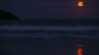 ¿Cuándo y por qué se verá la Luna de Fresa 2025?