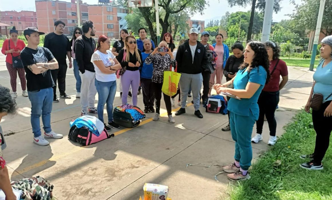 Cuautitlán Izcalli refuerza campañas gratuitas de esterilización para controlar la sobrepoblación animal
