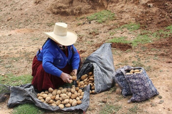 Cusco enfrenta su peor caída económica desde la pandemia y busca recuperarse