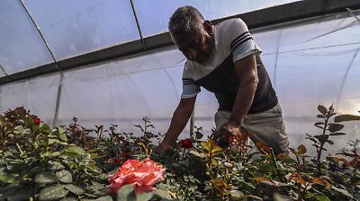 Día del Padre 2025: ¿Recibiré pago extra si trabajo ese día?