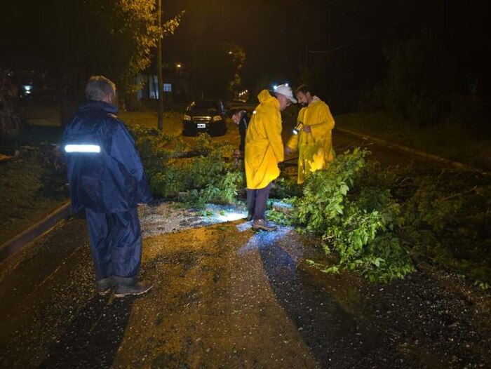Daños y destrozos en Buenos Aires por tormenta intensa: árboles caídos, techos volados y cortes de luz