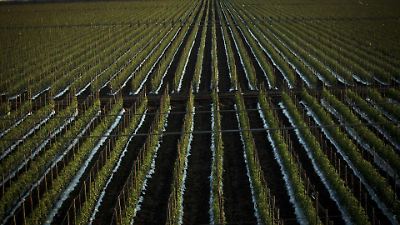 De la sequía a las granizadas: los desafíos extremos para la siembra de maíz en Edomex