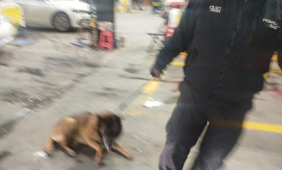 Denuncian maltrato animal por empleado de gasolinera en Ecatepec, Estado de México