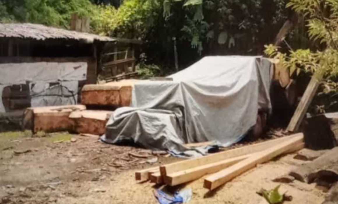 Denuncian predio en Atlautla donde se almacena madera ilegal y tala clandestina