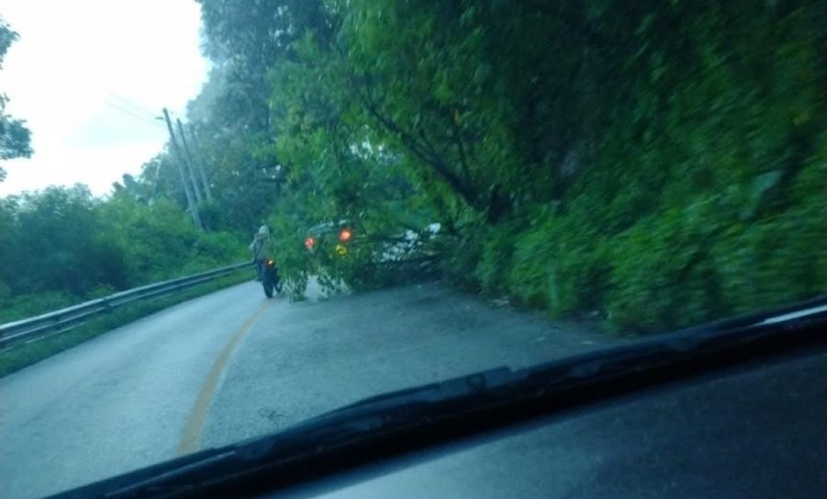 Derrumbe en Villa Guerrero provoca cierre temporal en autopista hacia Tenango del Valle