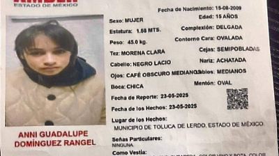 Desapariciones recurrentes de adolescente de Villa Victoria generan preocupación en su familia