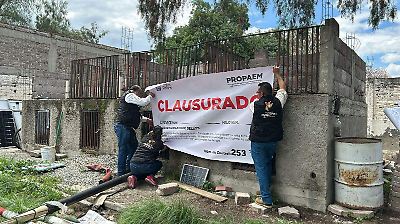Desmantelan centro de atención animal en Teotihuacán por maltrato y rescatan a un perro en situación de abandono