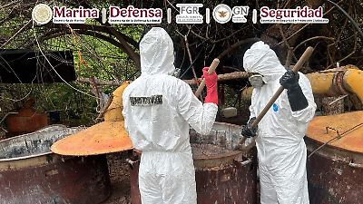 Desmantelan en Sinaloa un narcolaboratorio valorado en 81 millones de pesos