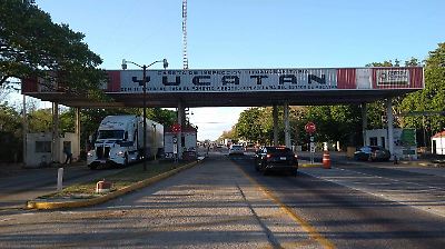 Detectan casos de gusano barrenador en Yucatán; autoridades intensifican controles