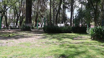 Detectan dos focos de proliferación de ratas en el centro de Toluca y calles aledañas
