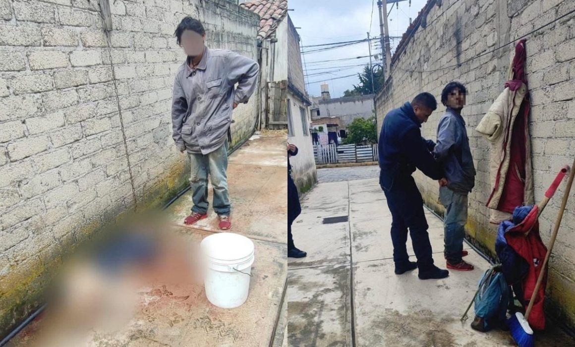 Detienen a hombre por maltrato y muerte de perro en Ocoyoacac, Estado de México