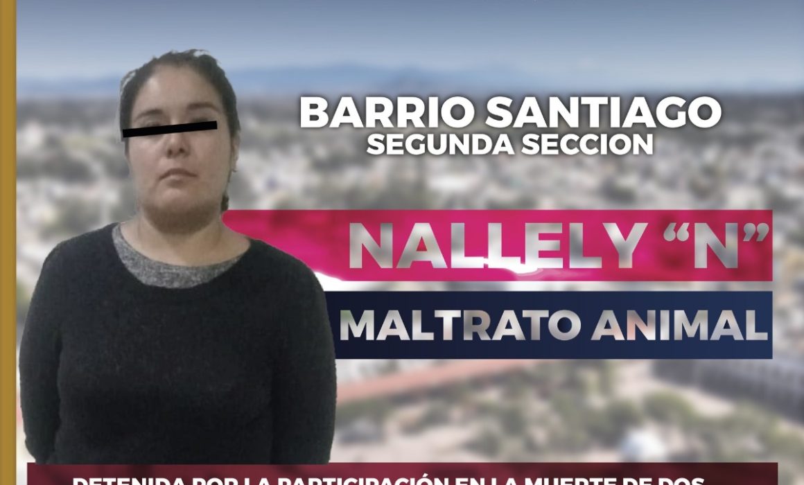 Detienen en Zumpango a mujer por maltrato y asesinato de dos perros en el Barrio Santiago