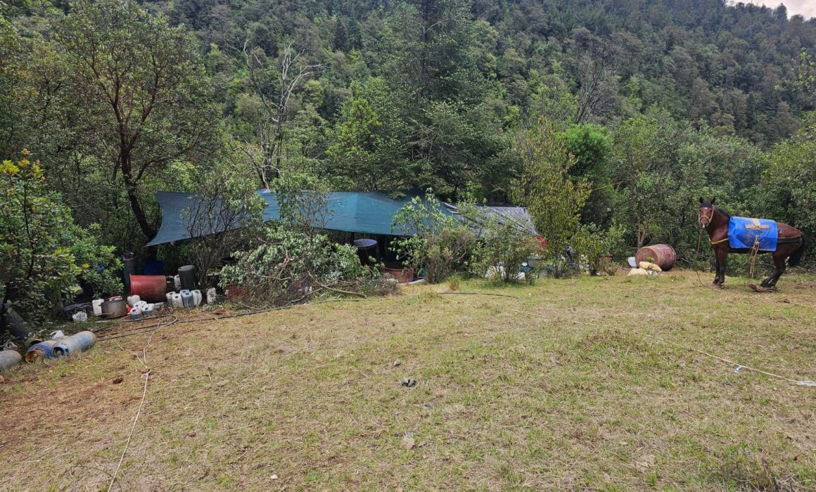 Detienen laboratorio clandestino en Otzolotepec tras denuncia ciudadana que evitó posibles delitos