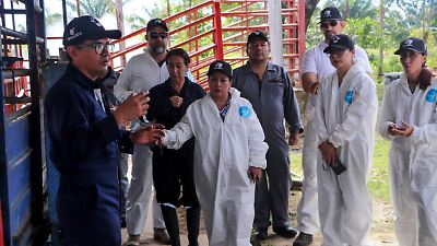 EU no ha informado si se reanudarán las exportaciones del ganado tras el cierre de la frontera norte   