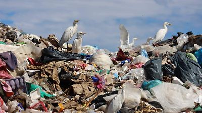 Ecatepec busca romper récord mundial con la mayor recolección de basura simultánea en México