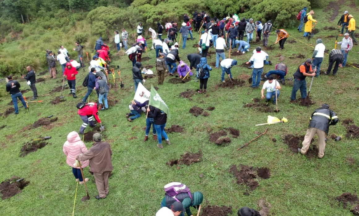 Edomex impulsa un ambicioso programa para restaurar ecosistemas y regenerar su tierra desde sus raíces