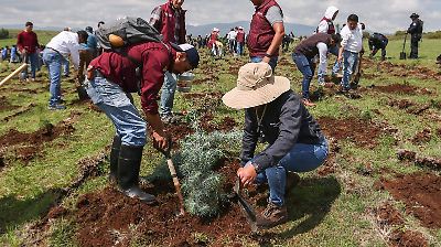 Edomex inicia reforestación de 6 millones de árboles en 5 mil hectáreas para recuperar ecosistemas y recursos hídricos