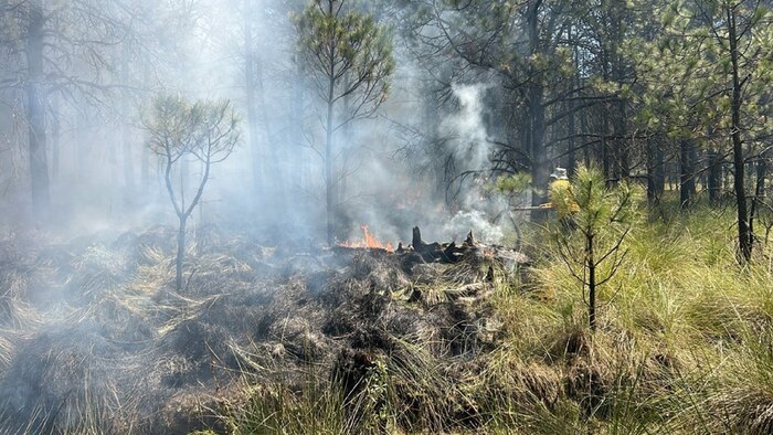 Edomex lidera con 97 incendios forestales en 2026 y mantiene comunidades en movilización