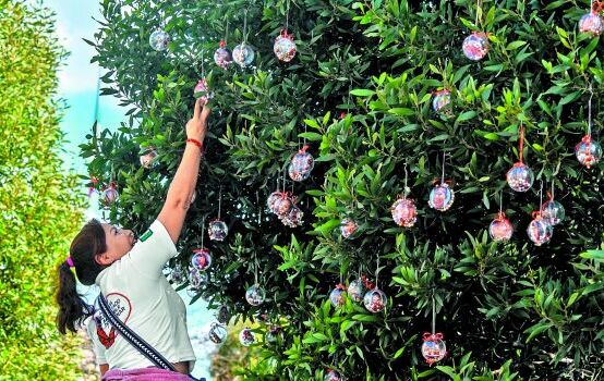 ¡Edomex rompe récord! La cifra de desapariciones en 2025 es la peor en la historia del país