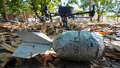 Ejército y Guardia Nacional desactivan 668 minas del crimen organizado en Michoacán en dos meses