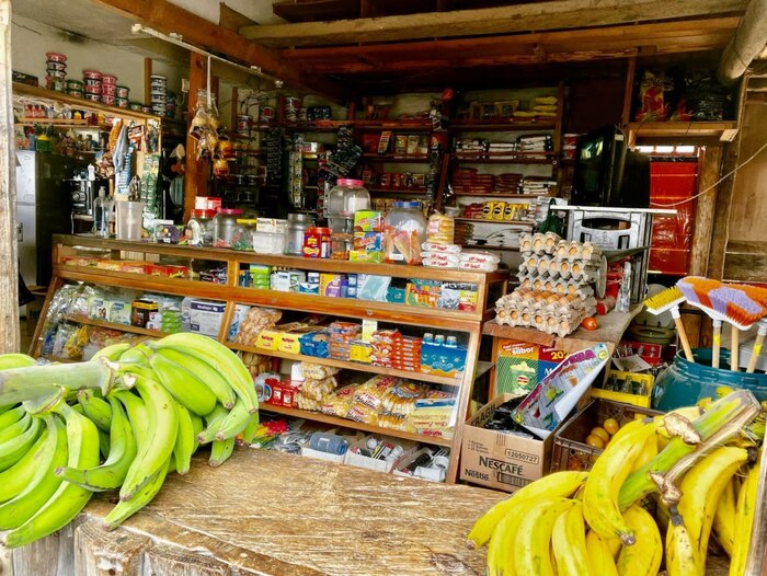 El 69% de las microempresas en El Salvador permanecen en la categoría de subsistencia, según CONAMYPE