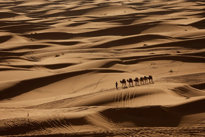 El Sahara podría experimentar lluvias inéditas en el siglo XXI debido al cambio climático