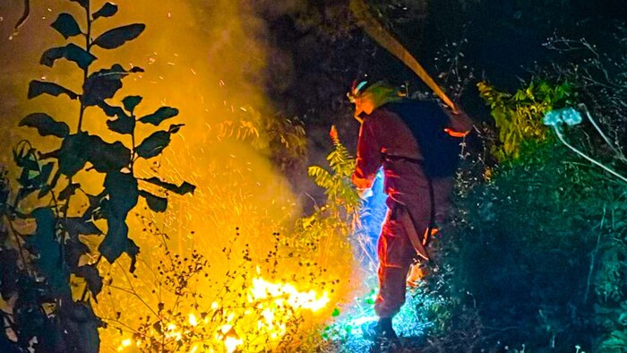 El Salvador registra más de 30 incendios en un solo día debido al aumento de siniestros relacionados con la responsabilidad humana