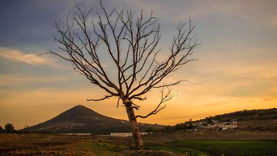 El Servicio Meteorológico advierte sequía de medio verano tras un mes récord de lluvias en México