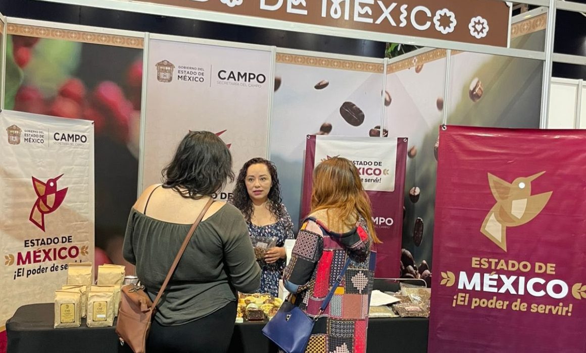 El café mexiquense impulsado por Delfina Gómez conquista Japón y Corea del Sur