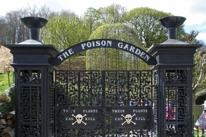 El jardín venenoso de Alnwick: un espectáculo de plantas letales y leyendas oscuras en Inglaterra