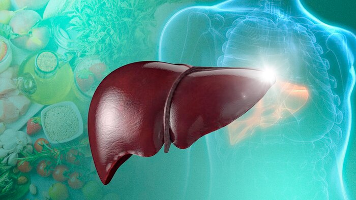 El mejor desayuno nutritivo para promover la regeneración del hígado