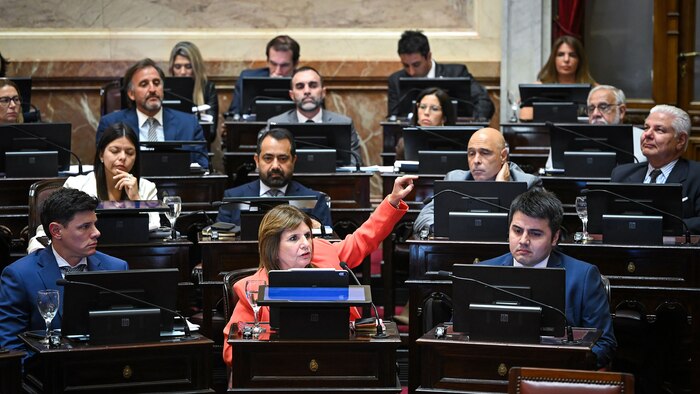 El oficialismo argentino enfrenta desafíos legislativos en banca, trabajo y justicia juvenil en el Congreso