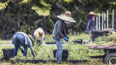 Empleo en Estados Unidos alcanza su nivel más bajo en 10 meses, con más desempleados que vacantes
