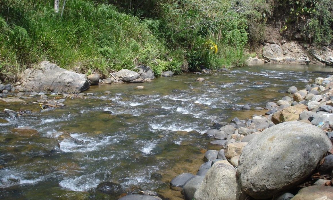 Encuentran cadáver con heridas de arma blanca en aguas negras de Polotitlán y desatan alarma en la comunidad