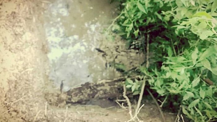 Encuentran fosa clandestina con tres cuerpos en frontera de Jilotzingo e Isidro Fabela, Edomex