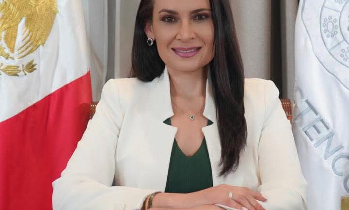 Erika Olea impulsa en Tianguistenco obras, medio ambiente y bienestar social para transformar la comunidad