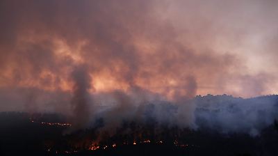 España intensifica esfuerzos para controlar incendios que ya arrasan más de 380 mil hectáreas