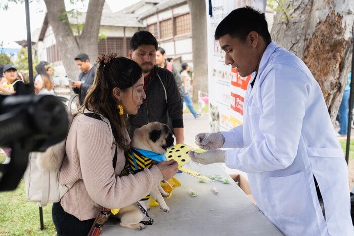 Este domingo 26 de octubre: Festival veterinario gratuito en Lima con más de 10 mil atenciones y actividades para mascotas