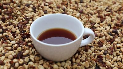 Este fin de semana en Toluca: Todo listo para el Segundo Festival del Café