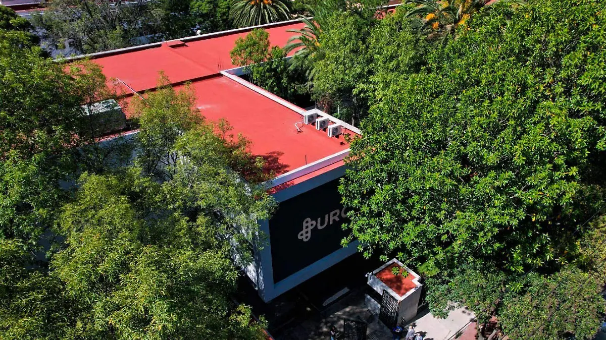 ¡Estudia en la Universidad Rosario Castellanos sin examen! Descubre las licenciaturas a distancia que puedes hacer desde casa