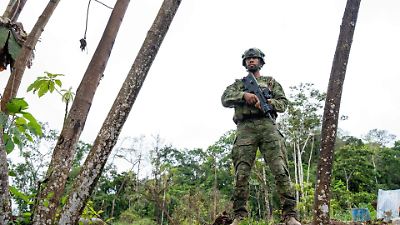 Explosión en Cauca causa una víctima mortal y heridos entre policías en medio de tensión por violencia persistente