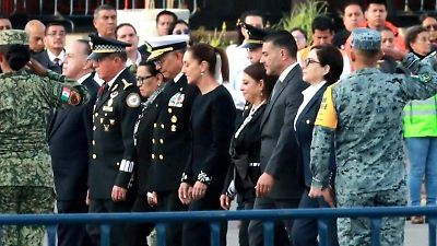 Falta de información: México no tomó acciones contra Araceli Brown a pesar de vinculaciones con el Cartel de Sinaloa