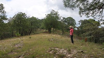 Familias de El Mamey en San Lucas, Tejupilco, esperan apoyo para construir sus viviendas tras deslizamientos