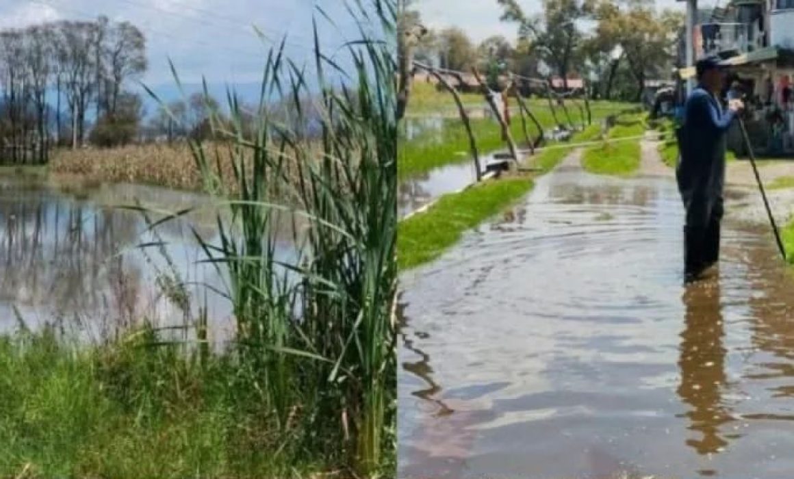 Familias del Valle de Toluca exigen ayuda urgente ante severas inundaciones que devastan sus comunidades
