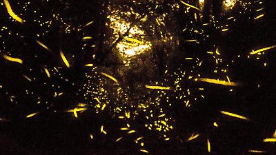 Fin de semana lleno de actividades en el Estado de México para festejar a papá y disfrutar en familia