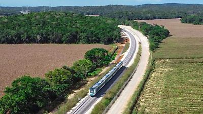 Fracasan las licitaciones del Tren Maya para protección de fauna silvestre por falta de participantes y presupuesto