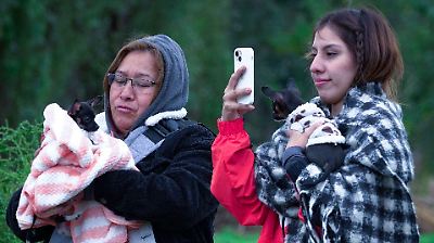 Frente frío 10 llegará a México: ¿Qué estados sentirán la disminución de temperaturas y qué esperar en los próximos días?