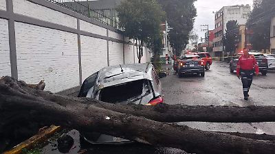Fuertes lluvias en Toluca generan caída de árbol y encharcamientos; se intensifican acciones de emergencia