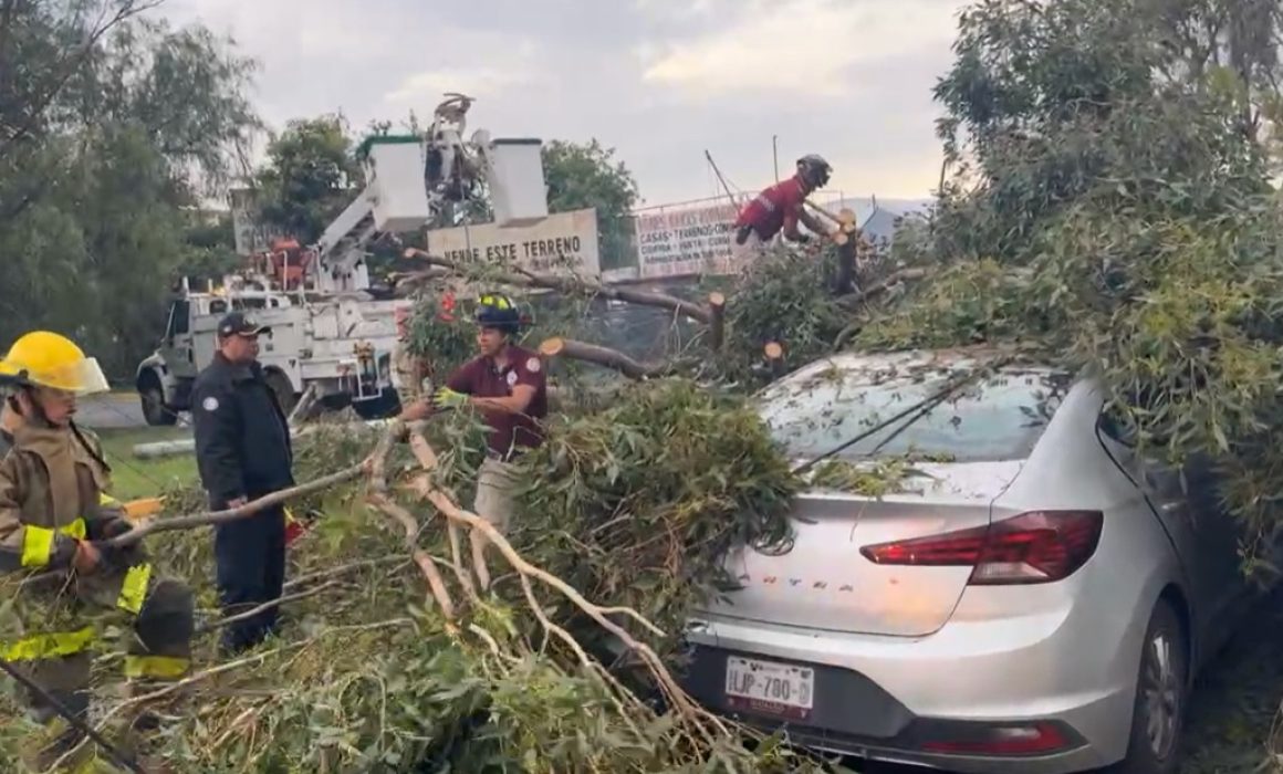 Fuertes vientos en Tecámac causan caída de árboles y afectaciones en infraestructura urbana