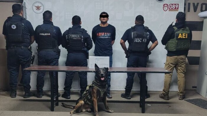 Gobierno de Baja California refuerza estrategia conjunta para reducir la violencia y recuperar la paz